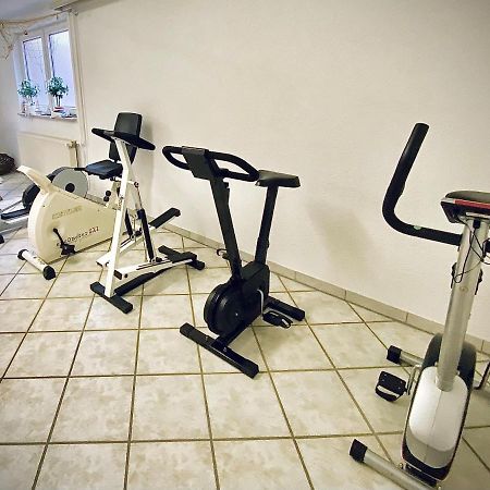 גלאוכאו Meister Baer Hotel Wettiner Hof מראה חיצוני תמונה